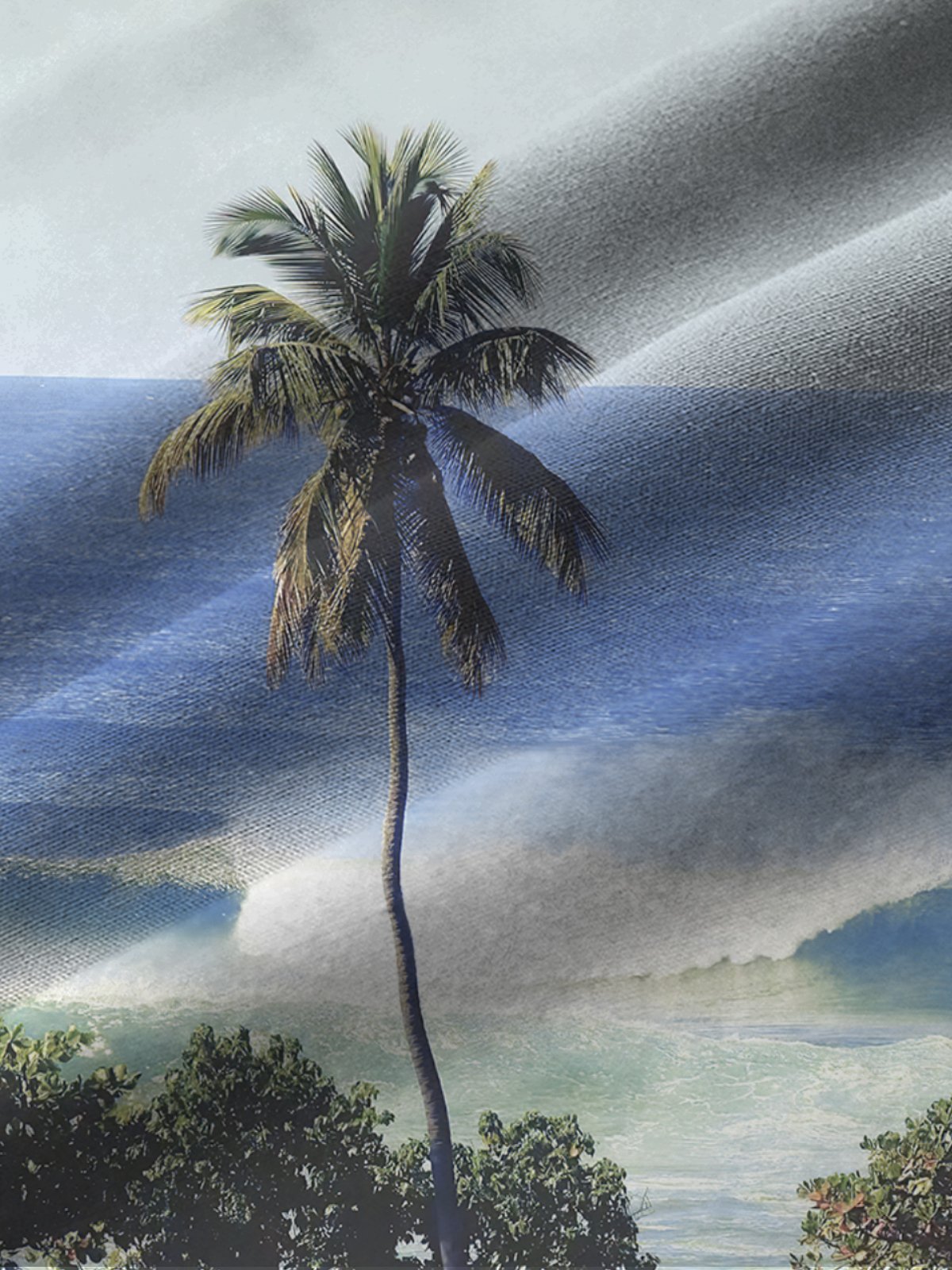 JoyMitty Seaside Coconut Tree Scenery Print Beach Men's Hawaiian Oversized Shirt with Pockets