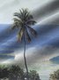 JoyMitty Seaside Coconut Tree Scenery Print Beach Men's Hawaiian Oversized Shirt with Pockets